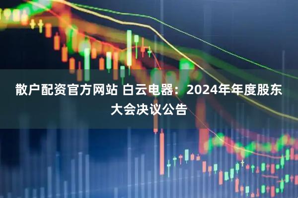 散户配资官方网站 白云电器：2024年年度股东大会决议公告