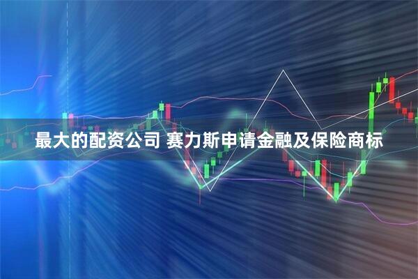 最大的配资公司 赛力斯申请金融及保险商标