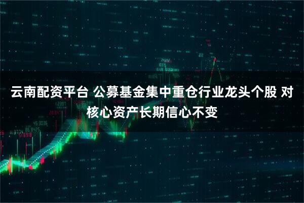 云南配资平台 公募基金集中重仓行业龙头个股 对核心资产长期信心不变